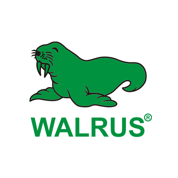 Walrus